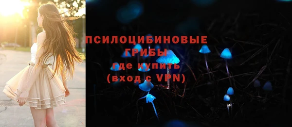 крисы Алексин
