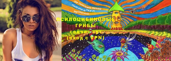 крисы Алексин