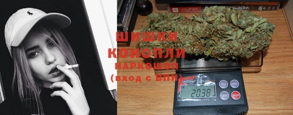 гидропоника Дегтярск