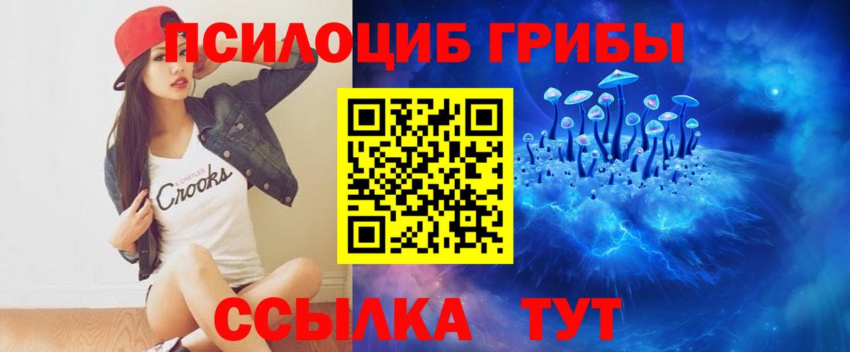 Псилоцибиновые грибы мицелий Тайшет